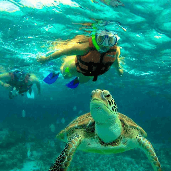 Playa Tortugas
