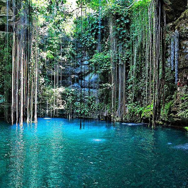 Passeio para os cenotes