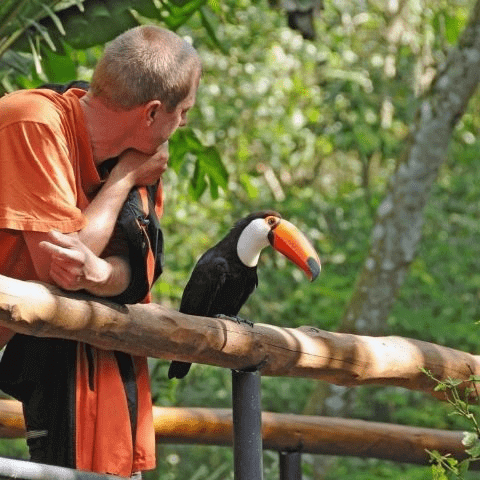 Parque das Aves