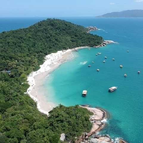 Ilha do Campeche