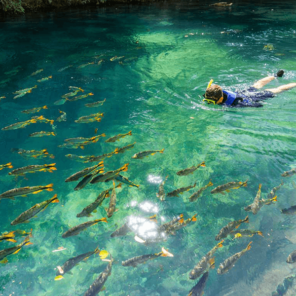 Rio da Prata